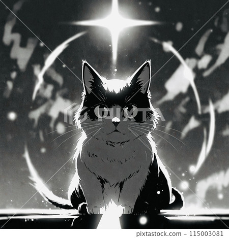 Cat shining in the night sky 115003081