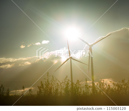 Wind plant in Europe, wind-powered generators Wind plant in Europe, wind-powered generators 115003120