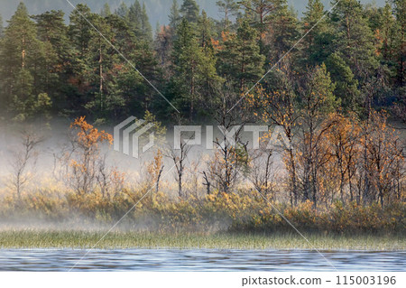 Gorgeous autumn landscape with river and misty forest Gorgeous autumn landscape with river and misty forest 115003196