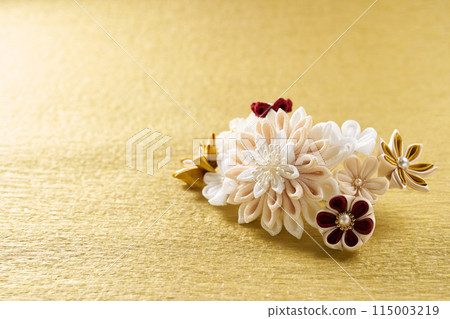 旋鈕配件 115003219