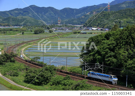 EF66 freight train running on the Tokaido Line EF66 freight train running on the Tokaido Line 115003341