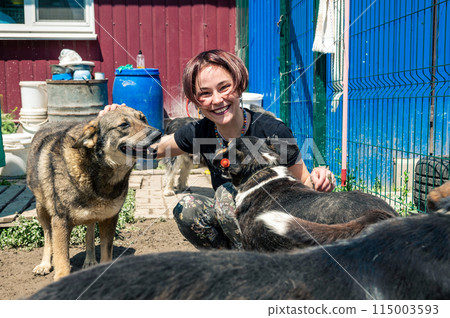 Dog at the shelter. Animal shelter volunteer takes care of dogs. Dog at the shelter. Animal shelter volunteer takes care of dogs. 115003593