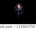 Omagari Fireworks in Akita Prefecture Summer 2023 115003750
