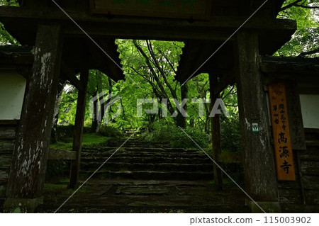 高源寺的綠色秋葉 115003902