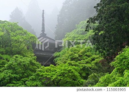 高源寺的綠色秋葉 115003905