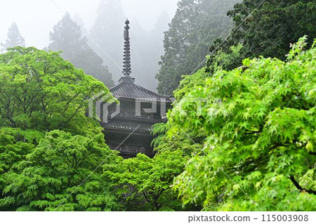 高源寺的綠色秋葉 高源寺的綠色秋葉 115003908