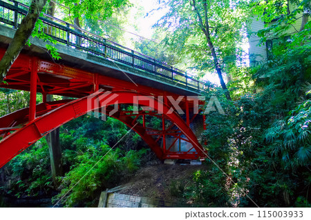 [Tokyo] Todoroki Valley Park in early summer: vibrant trees and the bright red Golf Bridge 115003933