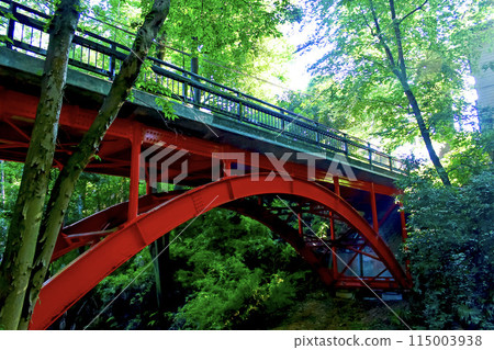 [Tokyo] Todoroki Valley Park in early summer: vibrant trees and the bright red Golf Bridge 115003938