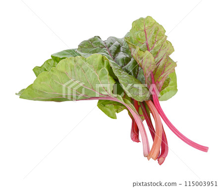 Swiss chard isolated on white background 115003951