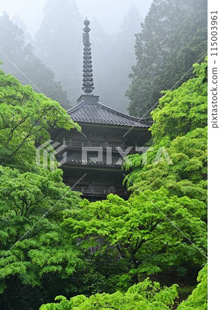 Kogenji Temple's green autumn leaves 115003961