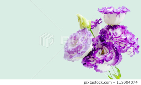 Flower offerings for Buddhist altars Spring/Autumn Turkish bellflower 115004074