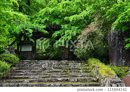高源寺的綠色秋葉 高源寺的綠色秋葉 115004142