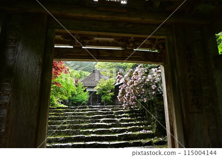 Fresh greenery at Iwatakiji Temple 115004144
