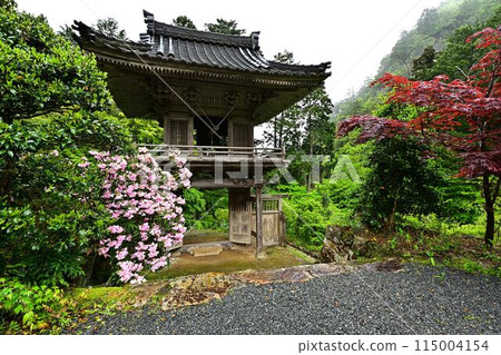 岩瀧寺的新綠 岩瀧寺的新綠 115004154