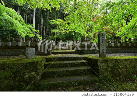 Fresh greenery at Iwatakiji Temple 115004159