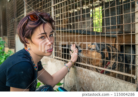 Dog at the shelter. Animal shelter volunteer feeding the dogs. 115004286