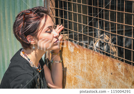 Dog at the shelter. Animal shelter volunteer feeding the dogs. 115004291