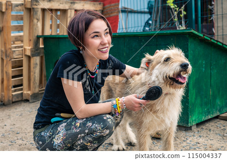 Dog at the shelter. Animal shelter volunteer takes care of dogs. 115004337