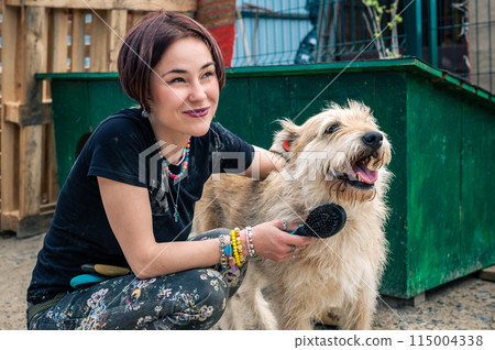 Dog at the shelter. Animal shelter volunteer takes care of dogs. 115004338