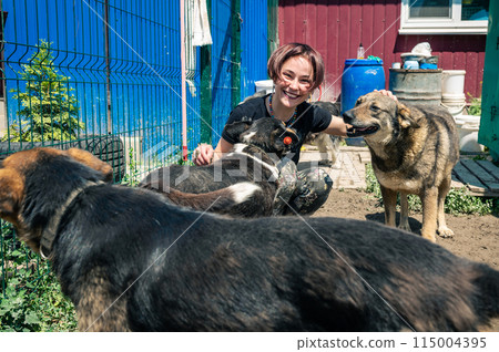 Dog at the shelter. Animal shelter volunteer takes care of dogs. 115004395