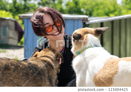 Dog at the shelter. Animal shelter volunteer takes care of dogs. Dog at the shelter. Animal shelter volunteer takes care of dogs. 115004425