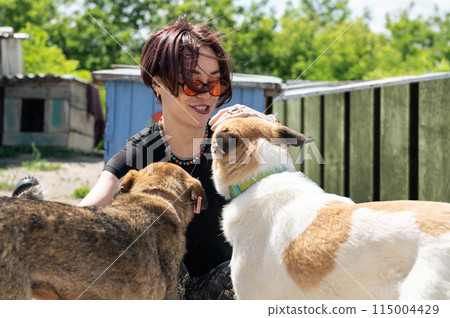 Dog at the shelter. Animal shelter volunteer takes care of dogs. 115004429