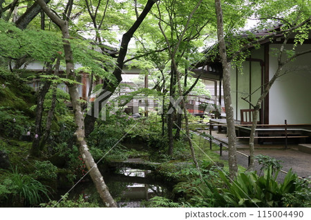 Fresh greenery in the grounds of Jojakkoji Temple, Kyoto 115004490