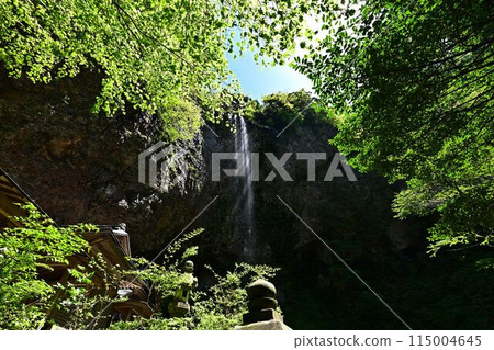 Fresh green of Dankyo Falls Fresh green of Dankyo Falls 115004645
