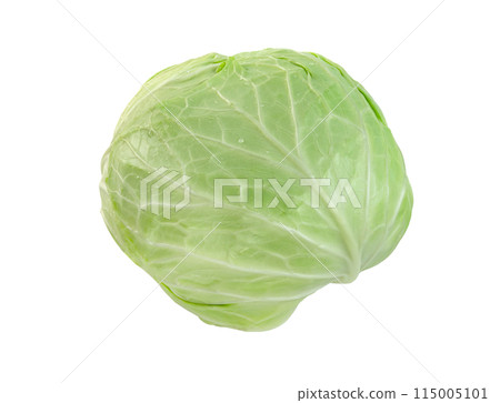 cabbage isolated,Green leaves pattern 115005101