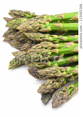 蘆筍(拉斯貴族) 蘆筍(拉斯貴族) 115005166