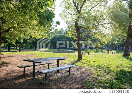 Sunny Nagai Park 115005198