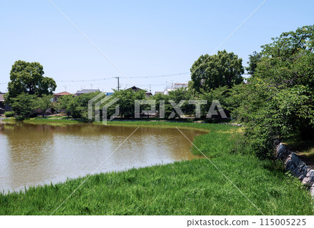 Sunny day at Bandaiike Park 115005225