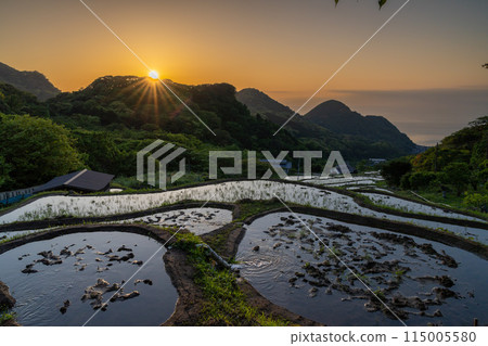 Nishiizu Ishibe rice terraces at sunset 115005580