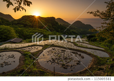 西伊豆日落石部梯田 115005581
