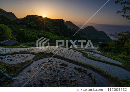 Nishiizu Ishibe rice terraces at sunset 115005582