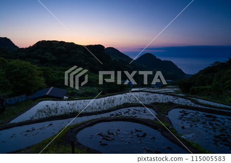 Nishiizu: Ishibe rice terraces during magic hour 115005583