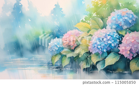 hydrangea   115005850