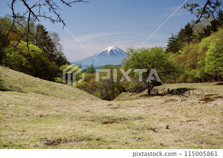 Mount Fuji as seen from Marukawa Pass 115005861