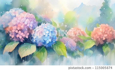 繡球 繡球 115005874