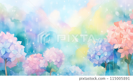 hydrangea   115005891