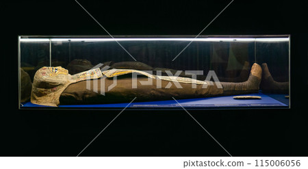ancient Egyptian mummy in a museum showcase on a dark background ancient Egyptian mummy in a museum showcase on a dark background 115006056