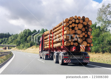 Back view many long heavy industrial wood carrier cargo vessel truck trailer with big timber pine, spruce, cedar driving on highway road with blue sky background. Timber export and shipping concept Back view many long heavy industrial wood carrier cargo vessel truck trailer with big timber pine, spruce, cedar driving on highway road with blue sky background. Timber export and shipping concept 115006380