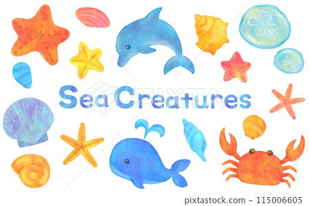 Illustration set of sea creatures 115006605