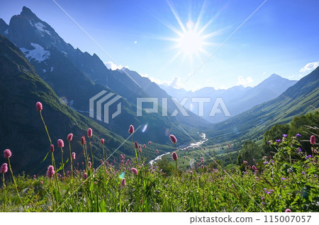 Landscape of the Caucasus mountains in Dombay in Russia 115007057