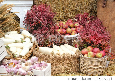 Fresh organic vegetables on farmer market. Local farm bazaar. Assortment of fresh organic harvest garden produce. Bio products, bio ecology. Natural healthy food festival. Agricultural rustic fair Fresh organic vegetables on farmer market. Local farm bazaar. Assortment of fresh organic harvest garden produce. Bio products, bio ecology. Natural healthy food festival. Agricultural rustic fair 115007241