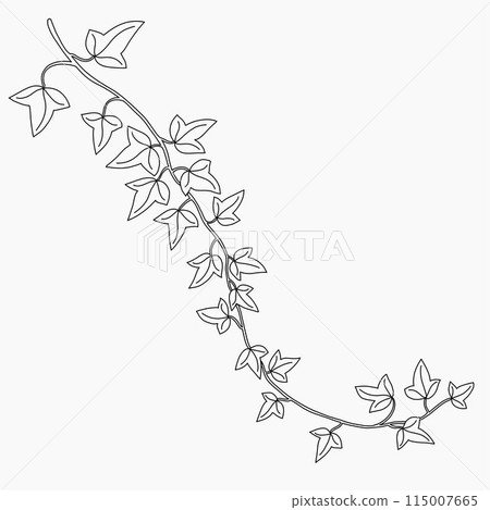 Floral ivy drawing decorative ornament flat design. Floral ivy drawing decorative ornament flat design. 115007665