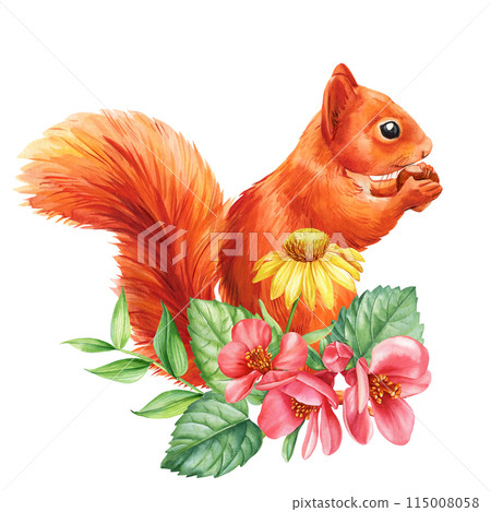 Squirrel with spring flowers white isolated background, watercolor illustration. Cute animal, pink flower hand drawing 115008058