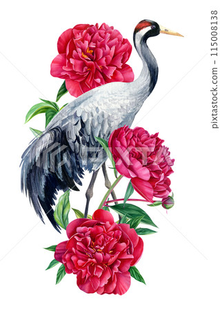 Beautiful crane bird with peonies flowers on white isolated background, watercolor illustration. Birds and peony drawing Beautiful crane bird with peonies flowers on white isolated background, watercolor illustration. Birds and peony drawing 115008138