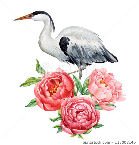 Beautiful heron bird with peonies flowers on white isolated background, watercolor illustration. Bird and peony drawing Beautiful heron bird with peonies flowers on white isolated background, watercolor illustration. Bird and peony drawing 115008140