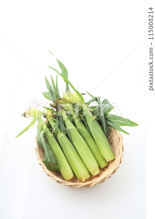 年輕的玉米 年輕的玉米 115008214